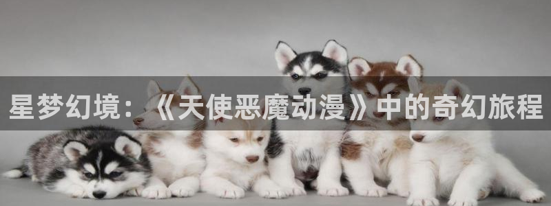 囧次元app官方下载：星梦幻境：《天使恶魔动漫》中的奇幻旅程