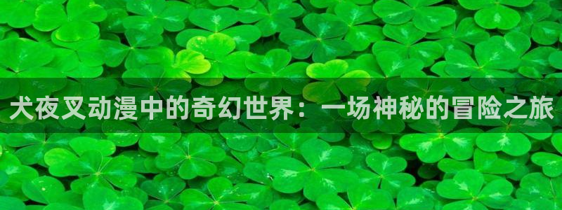 囧次元看动漫：犬夜叉动漫中的奇幻世界：一场神秘的冒险之旅