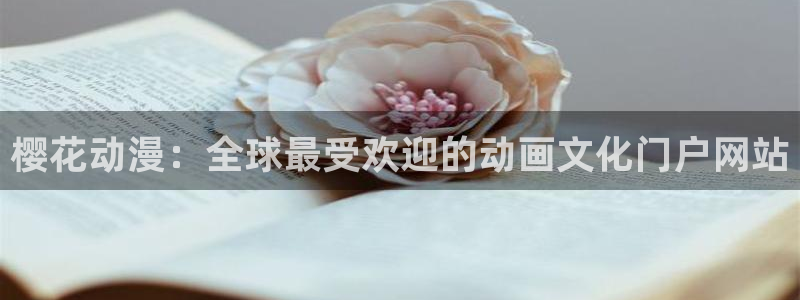 囧次元是哪个公司的：樱花动漫：全球最受欢迎的动画文化门户网站